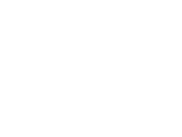 3io Studio Client Brand -- INEC