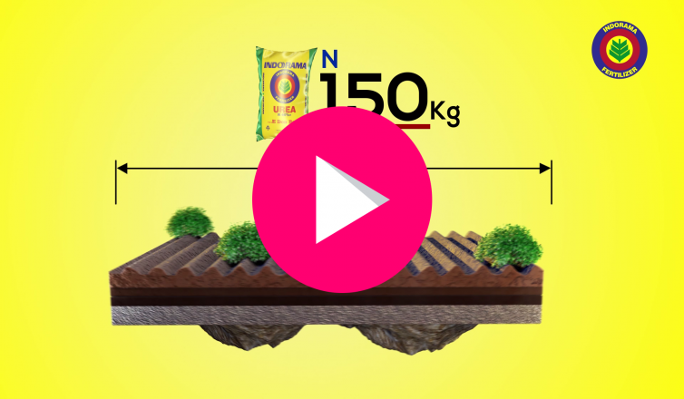 3io Studio Project Indorama Animated Training Videos -- Indorama owns the largest single-line urea fertilizer plant in Africa. As a major player in the global agricultural industry, Indorama plays a significant role in humanitarian contributions to agriculture in Africa. In an effort to facilitate the development of the African agricultural sector, Indorama approached us for the production of detailed animated training videos to help their agronomists on the field in passing relevant information to farmers on best crop practices. Check through the gallery for some of the videos we produced. The project is still ongoing, so more videos are sure to be added during the next few weeks.